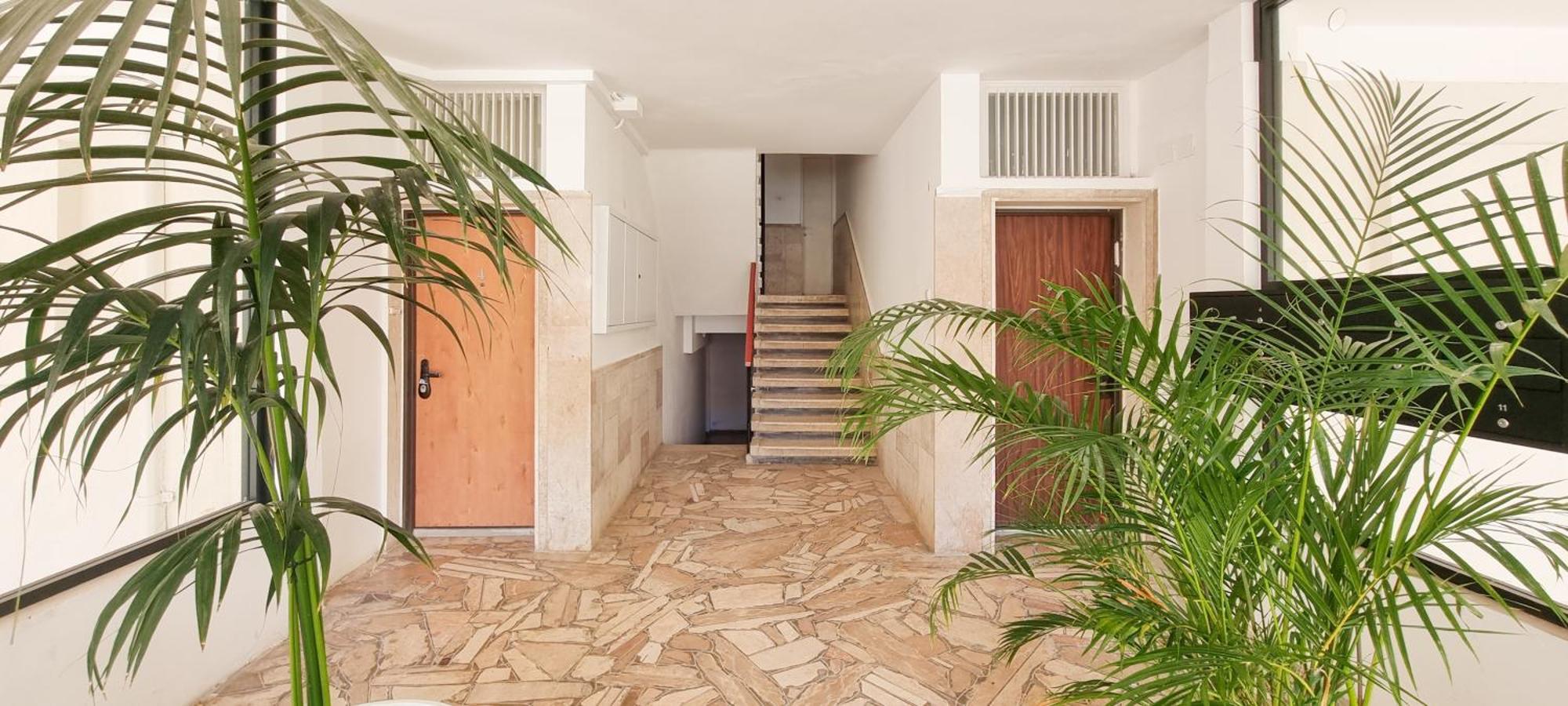 Bnb Israel Apartments - Harav Kook Lilas Tel Aviv Exterior foto